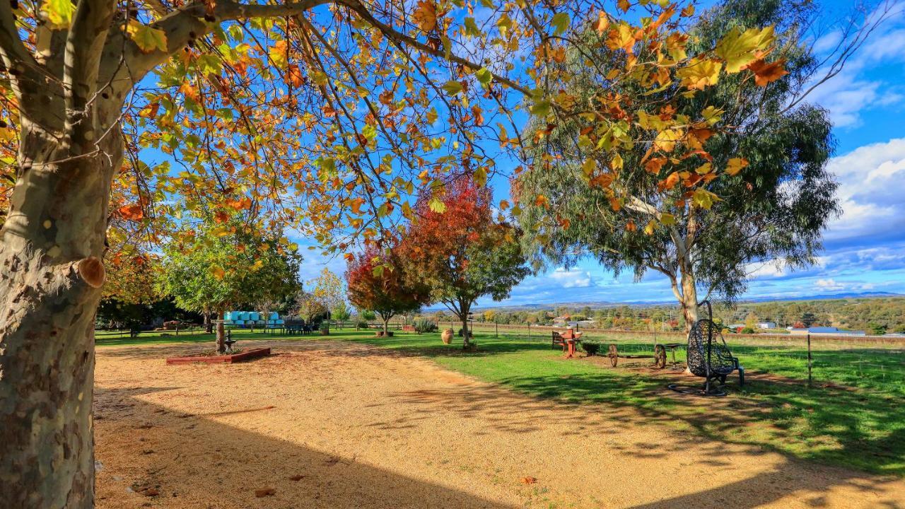 The Vineyard Motel Cowra Eksteriør bilde