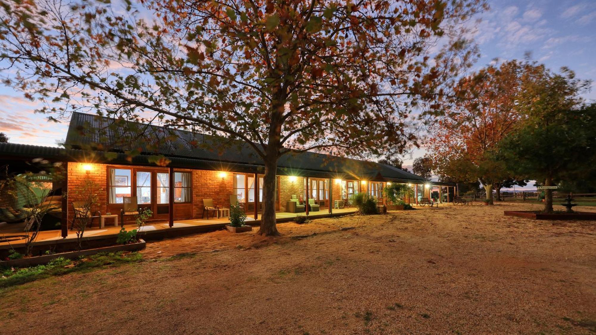 The Vineyard Motel Cowra Eksteriør bilde