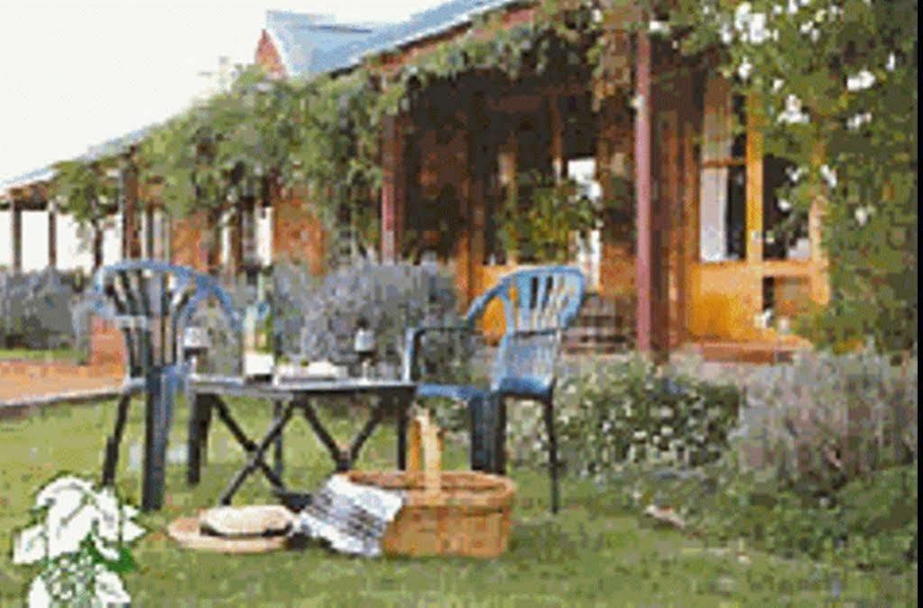 The Vineyard Motel Cowra Eksteriør bilde